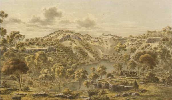  a drawing of forest and grass areas around budj bim