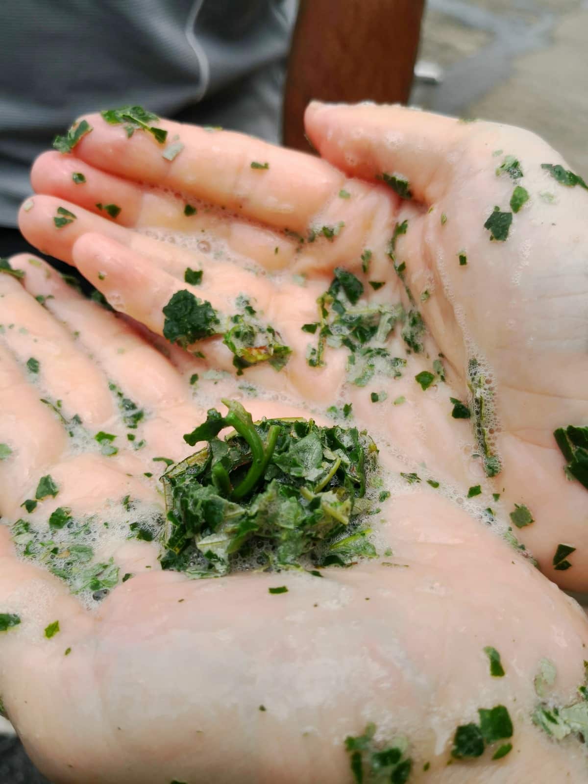 WhatsApp Image 2024-12-31 at 23.41.17.jpeg