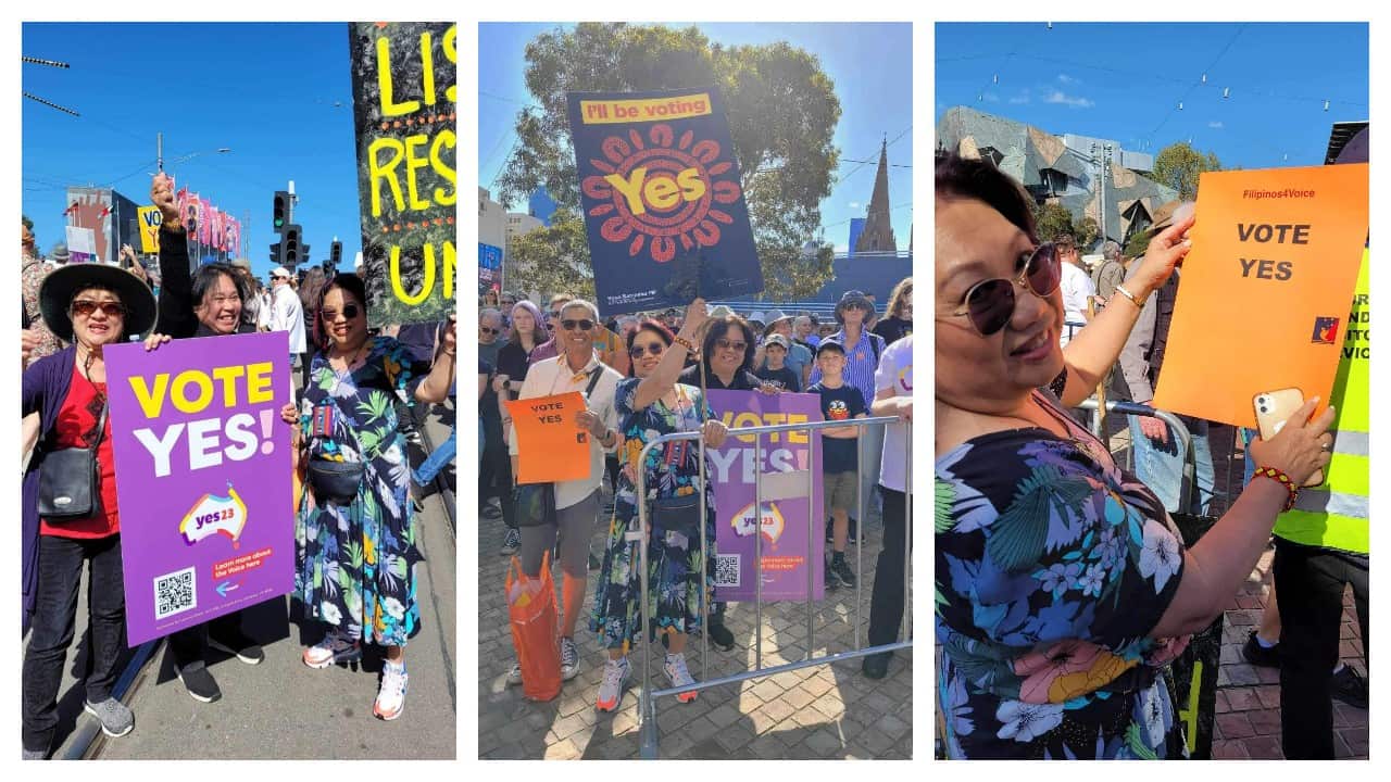 vote yes collage.jpg