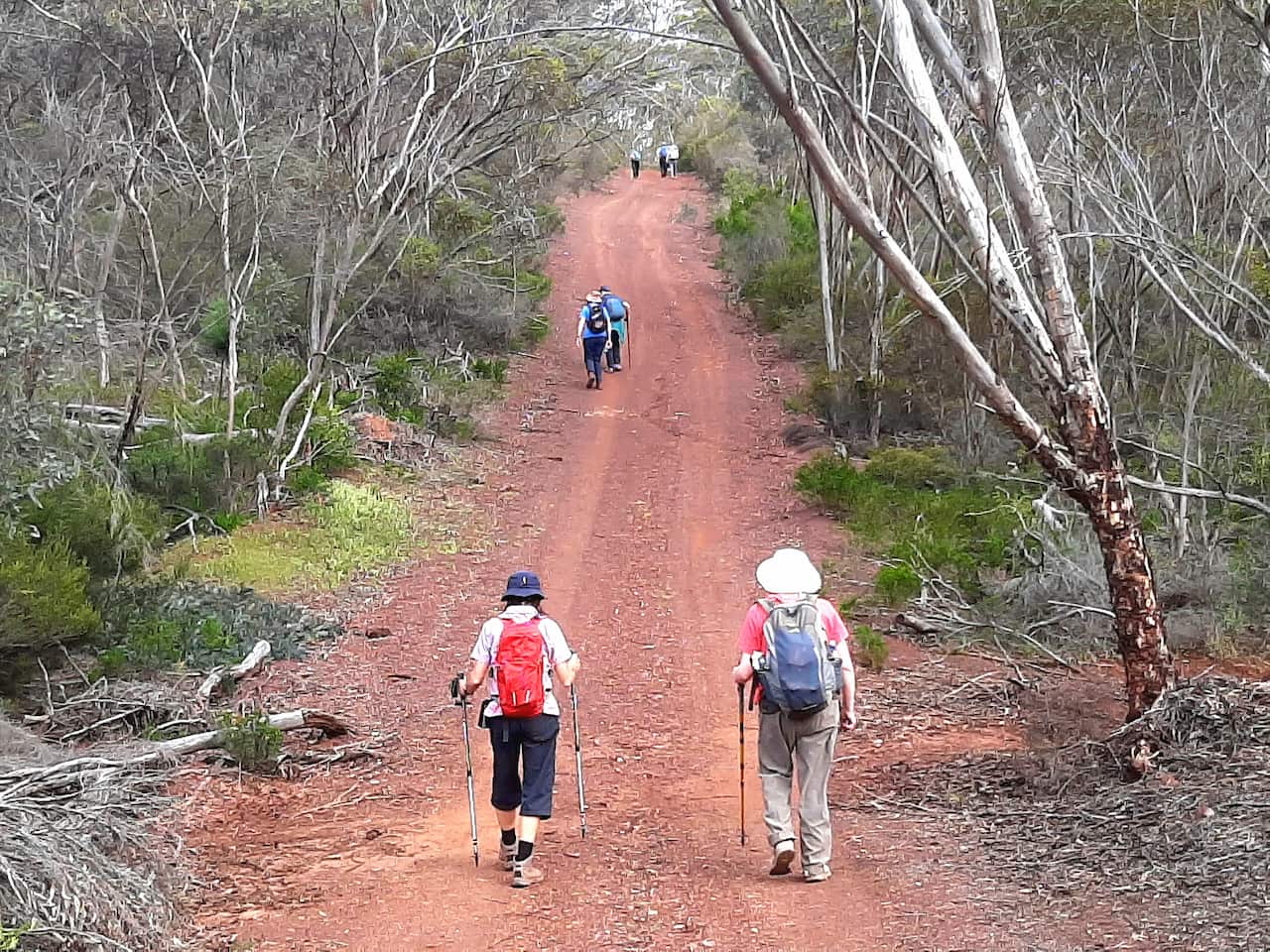 Bushwalkers on the Ravensthorpe Range - Terry Dunham.jpg