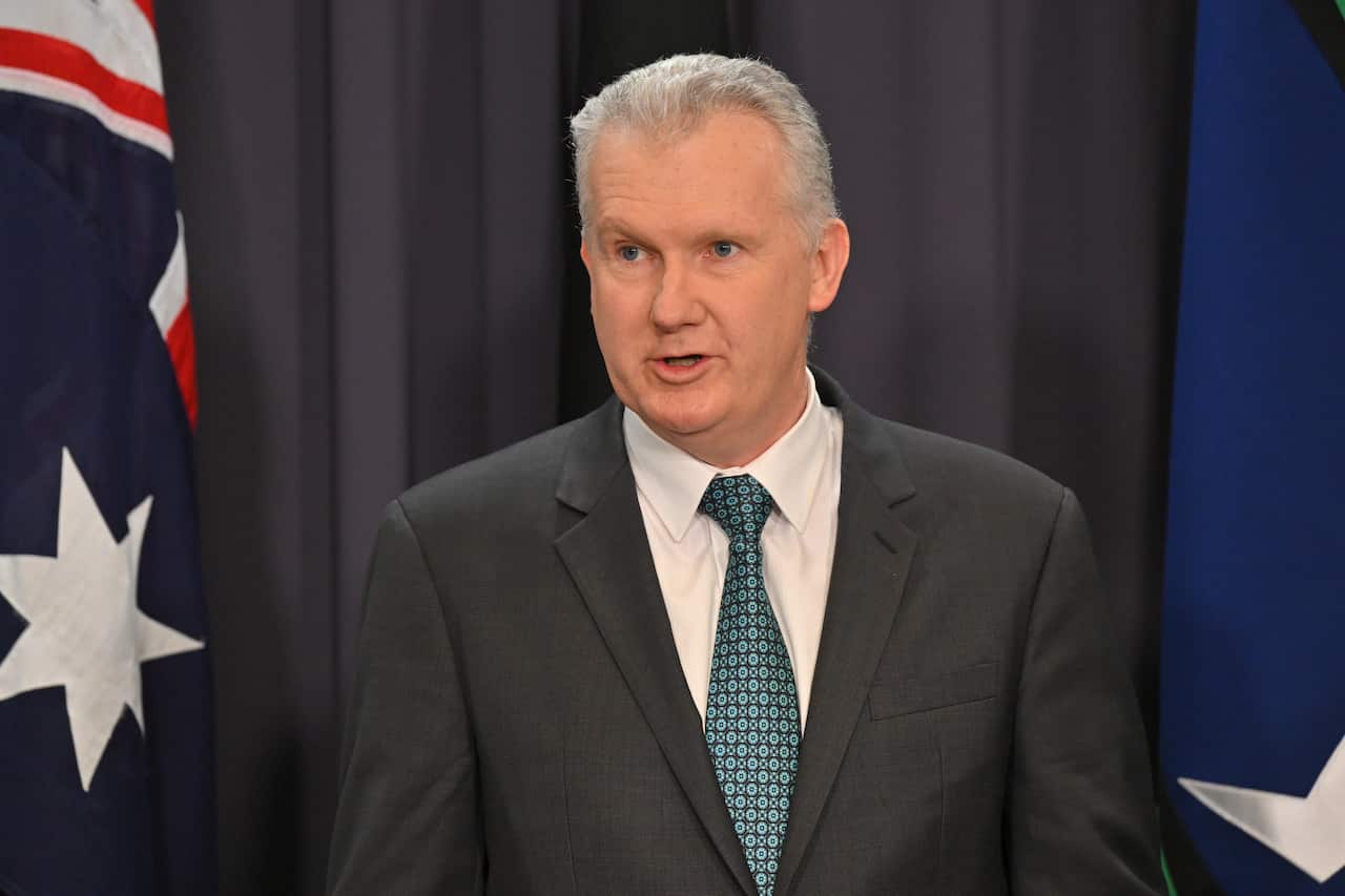 Tony Burke, standing in front of a grey curtain, and Australian and Torres Strait Islander flags.