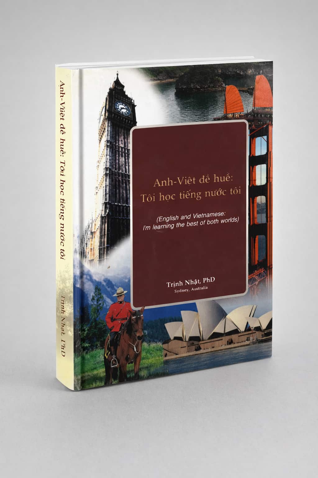 Cuốn Anh - Việt đề huề: Tôi học tiếng nước tôi của Giáo sư Trịnh Nhật