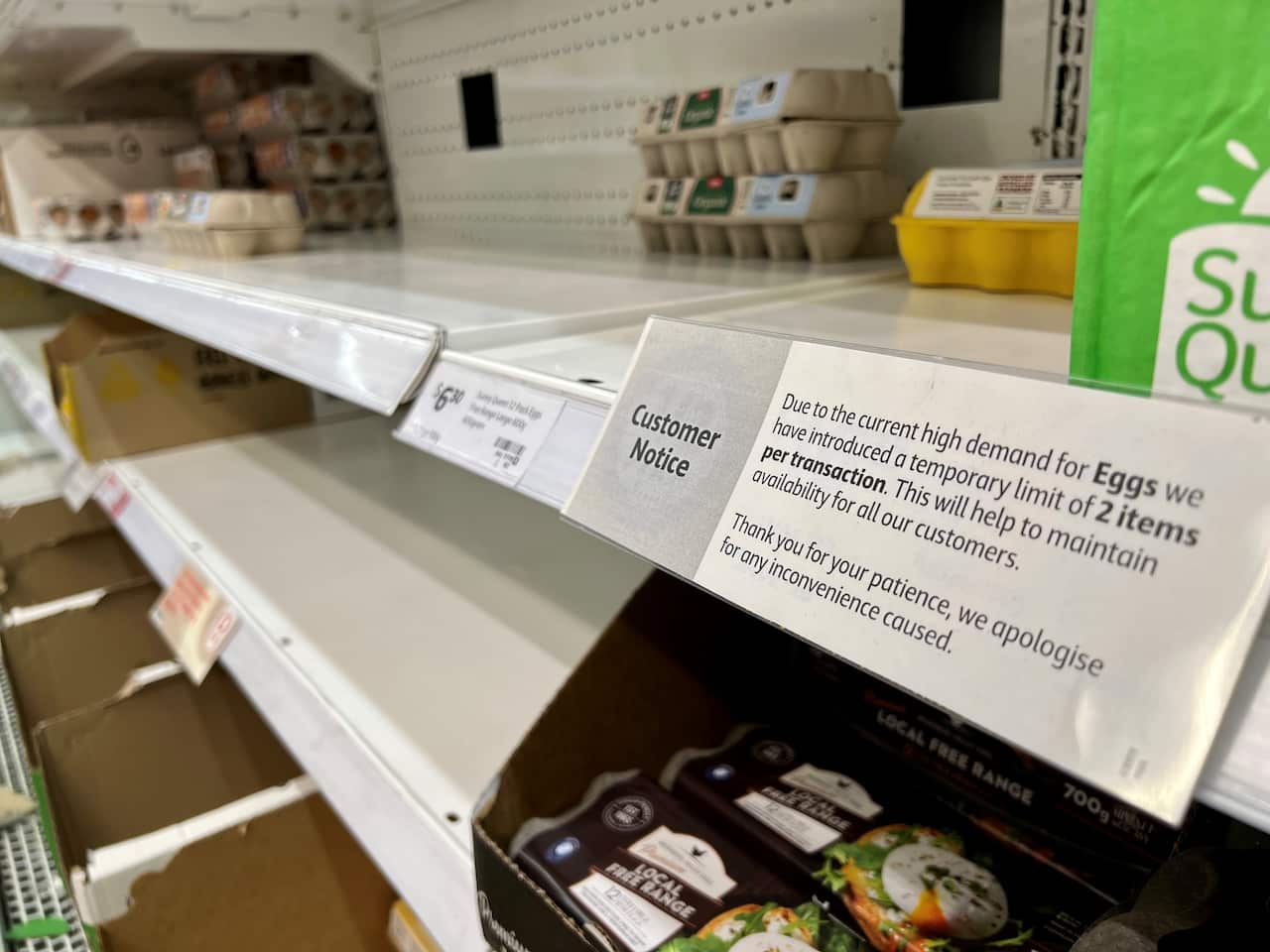 Egg shortage hits Australia.jpg