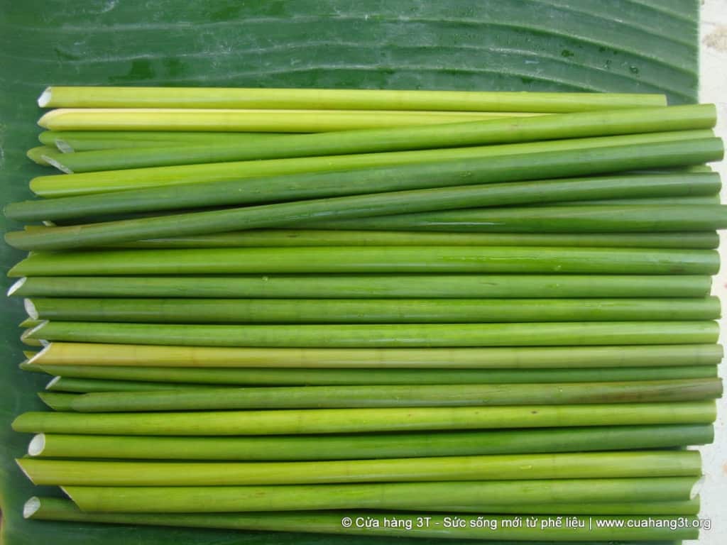 sedotan rumput.jpg