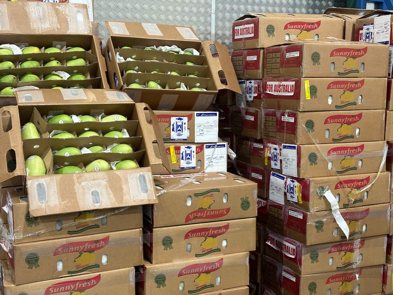 Philippine Carabao mangoes.jpg