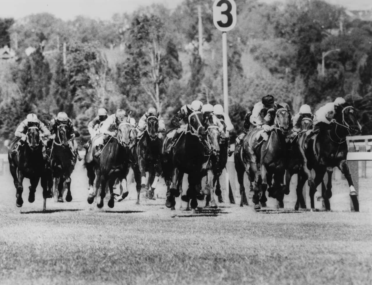 A black and white image of horses racing in the 1967 Melbourne Cup.