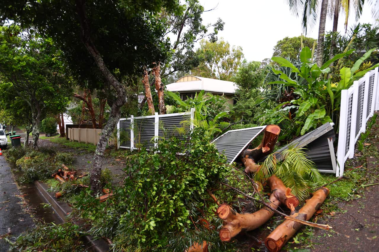 Trees crashed through the fence of a property.