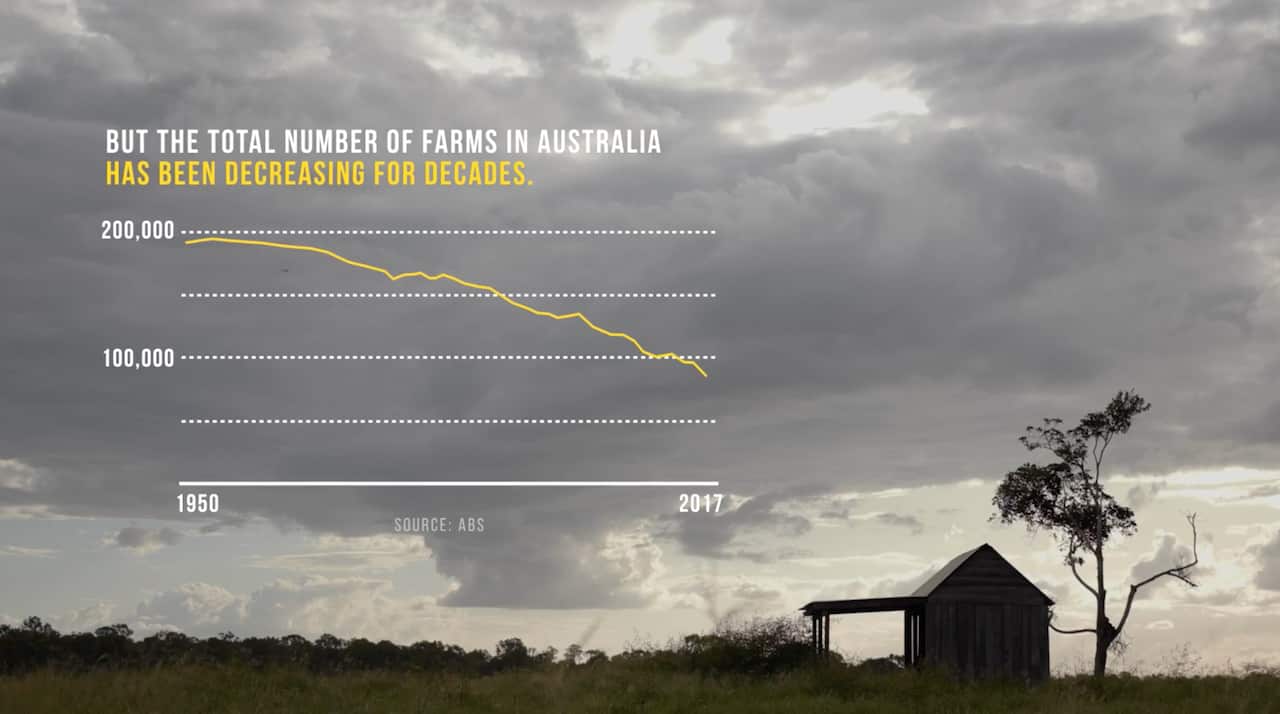 Graph showing the number of farms decreasing over the past few decades. 