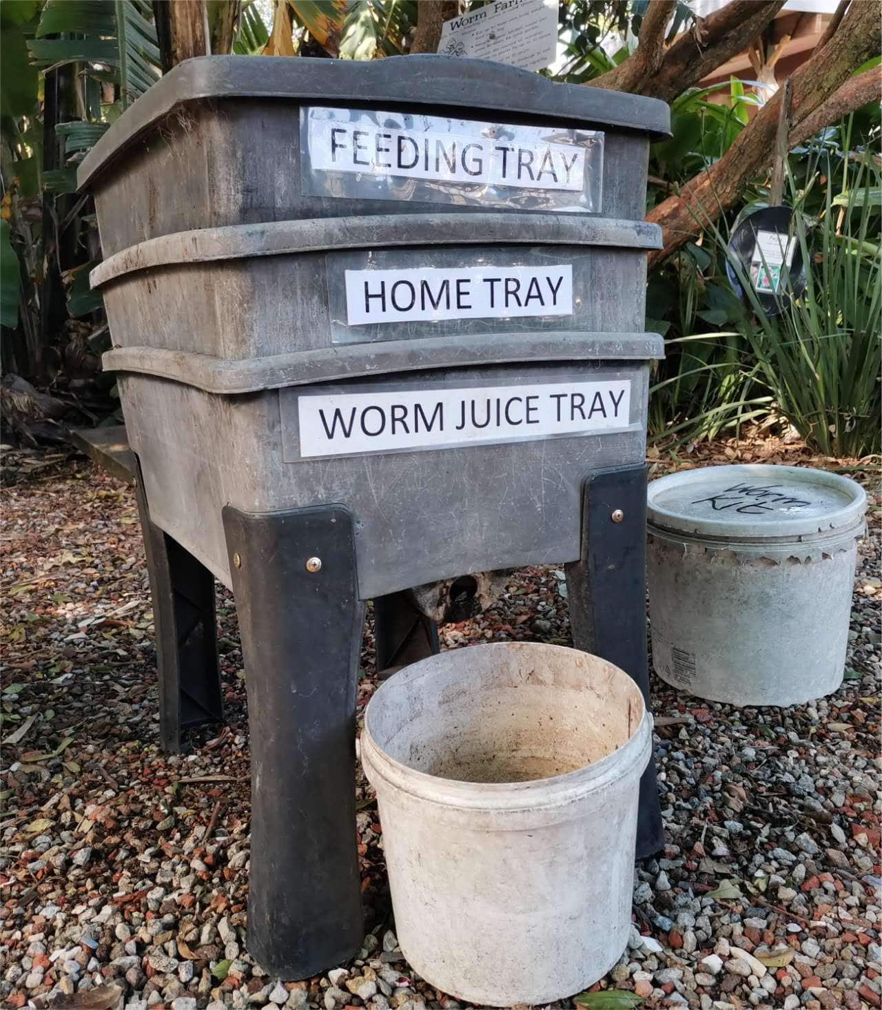 MicrosoftTeams-image (7).png