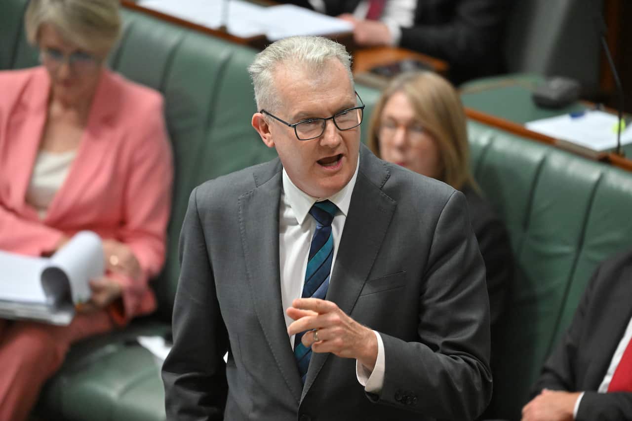 Tony Burke speaks in parliament.