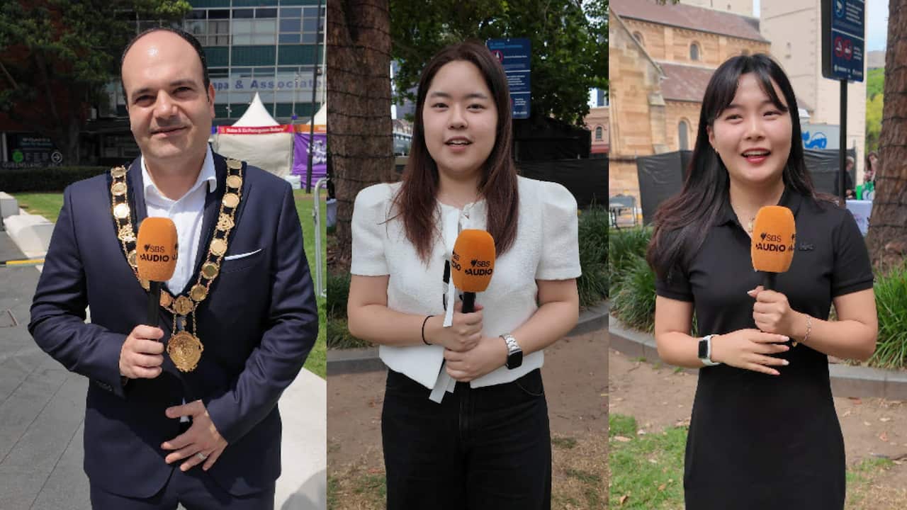 파라마타 레인즈 페스티벌.png