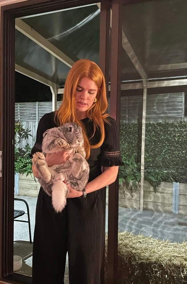 Ari e gli animali domestici australiani.jpg