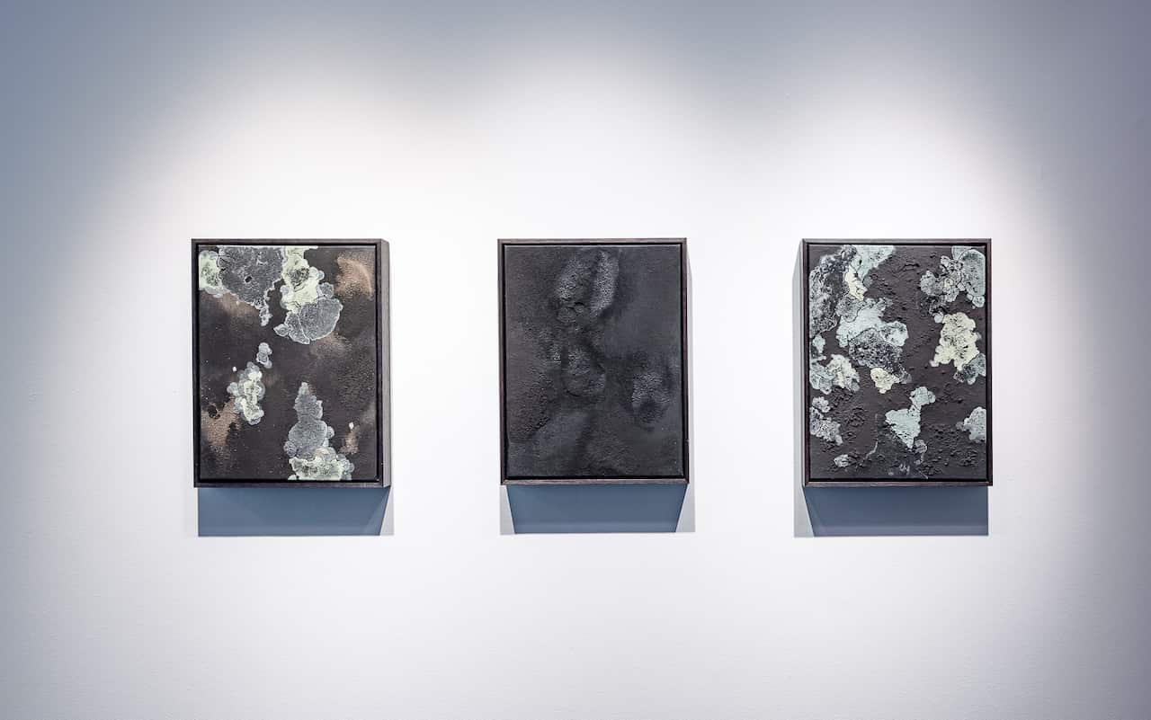 KCCL- Install_Feb 24-Web-6.jpg