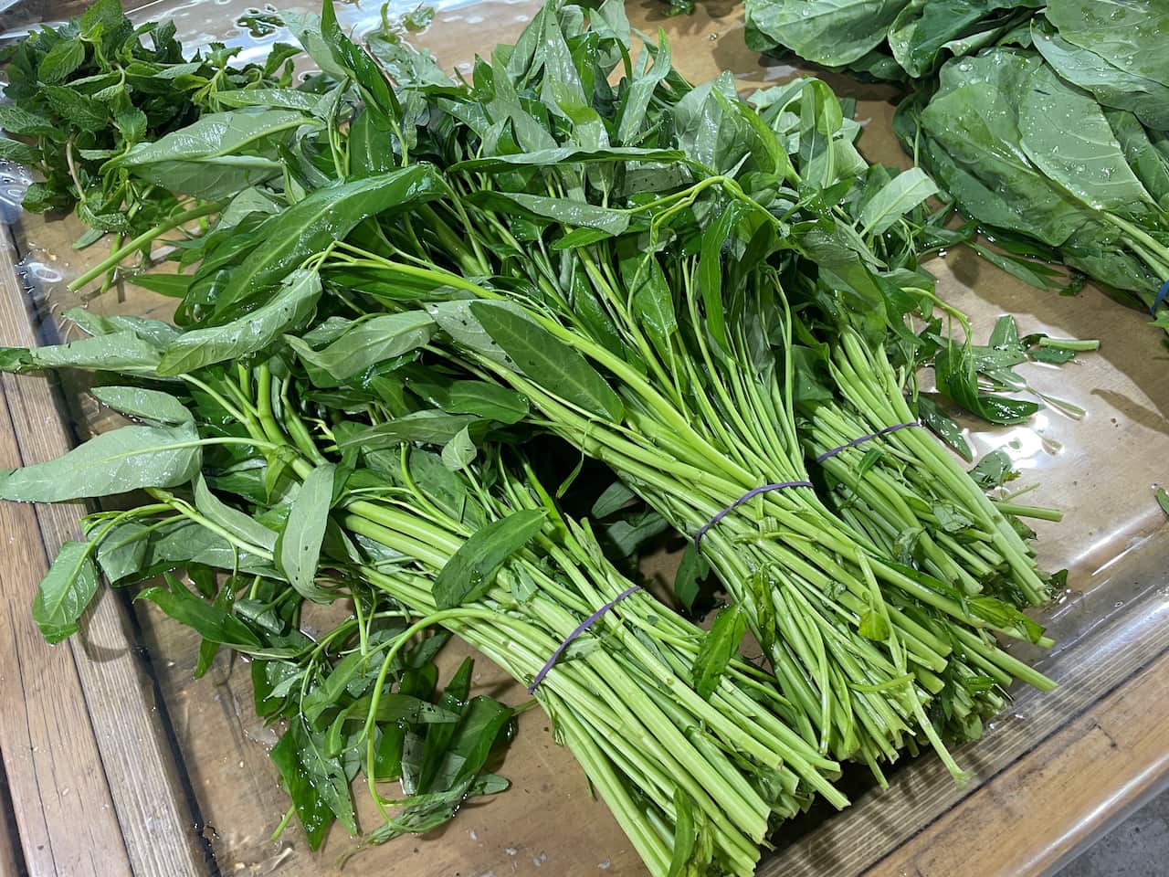 Tomaru120 (1) Water spinach.jpg