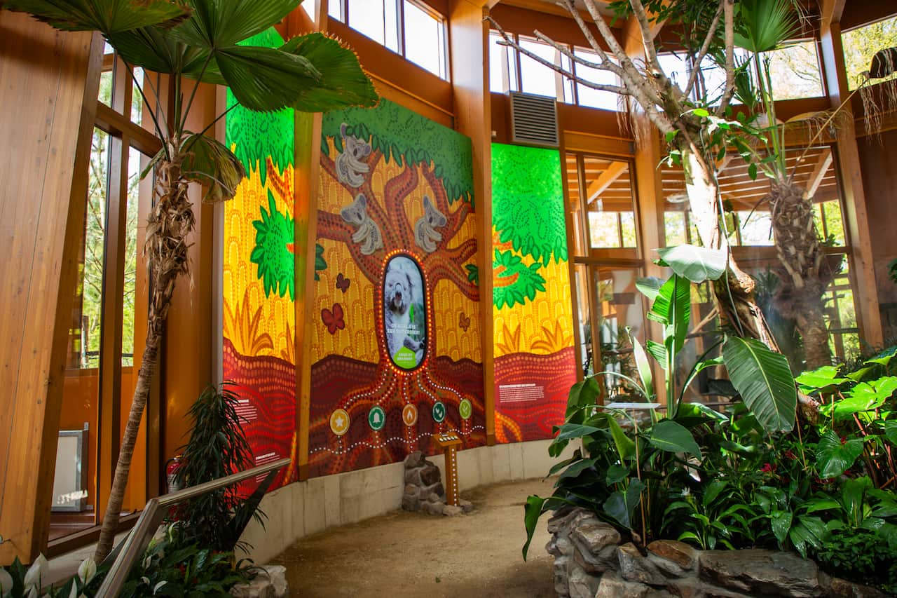 Koalia Binnentuin educatie Ouwenhands