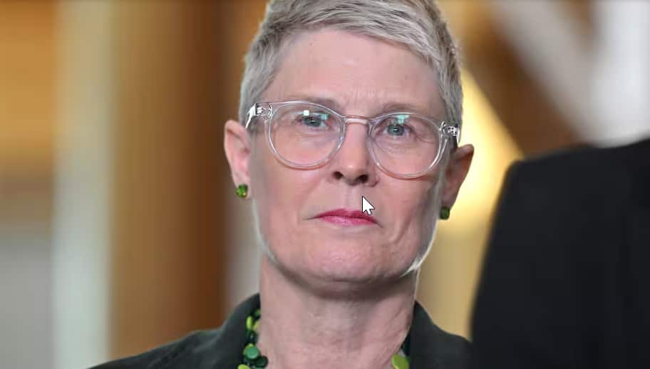 Greens senator Penny Allman-Payne.png