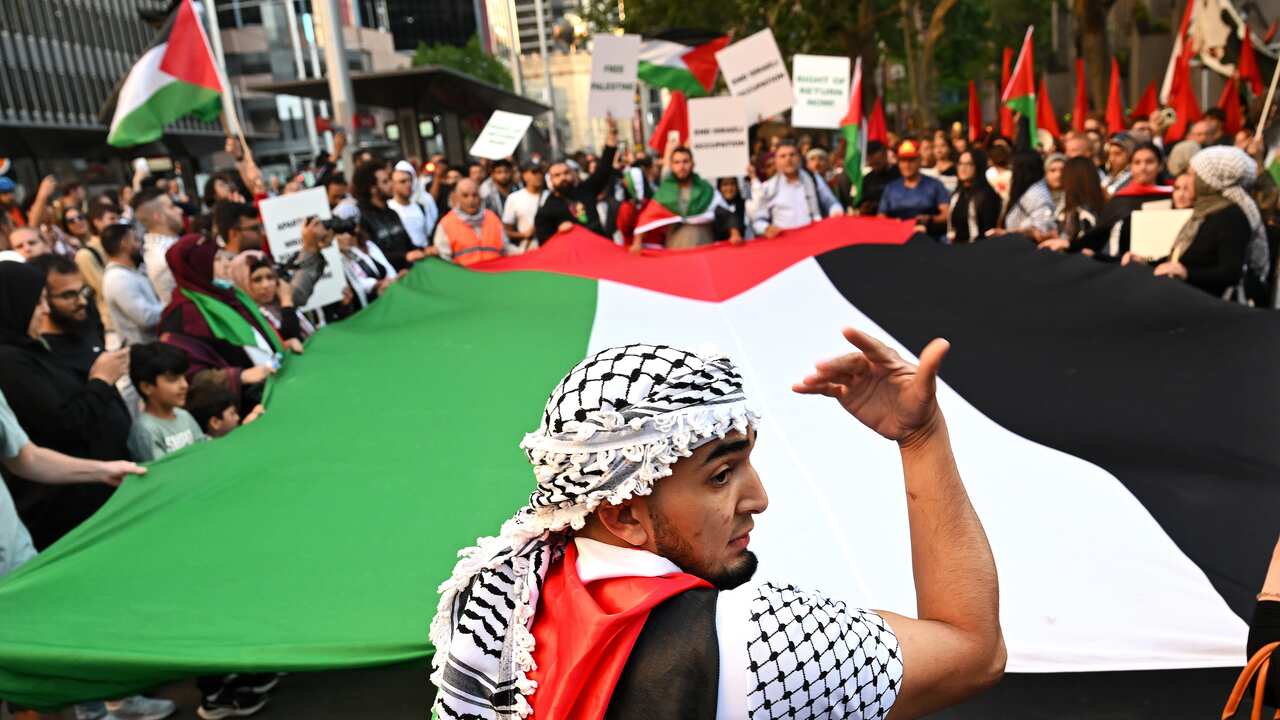 A crowd of protesters. Some are holding a large Palestinian flag.