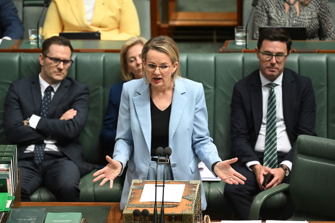 A woman in a pale blue suit, standing in front of a lectern in the lower house, with male colleagues sitting on the green couch behind her.