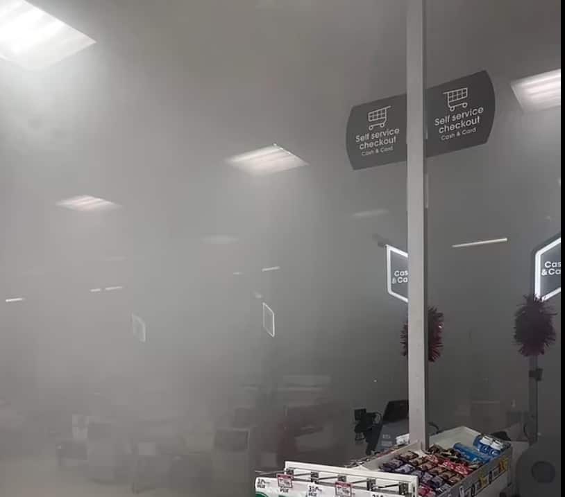 螢幕擷取畫面 2023-11-21 114833.png