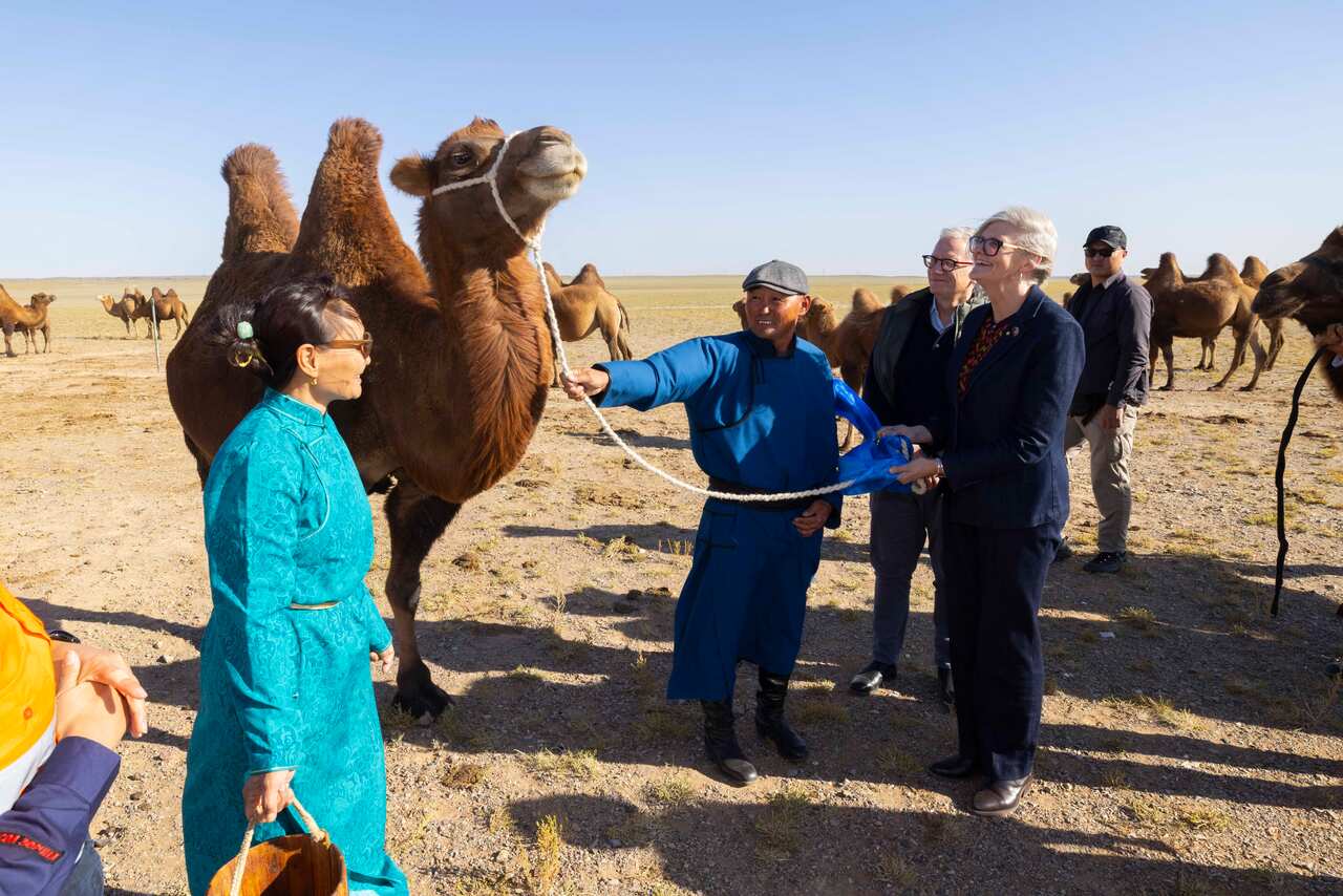 20250906gg8106603_1371.CR3