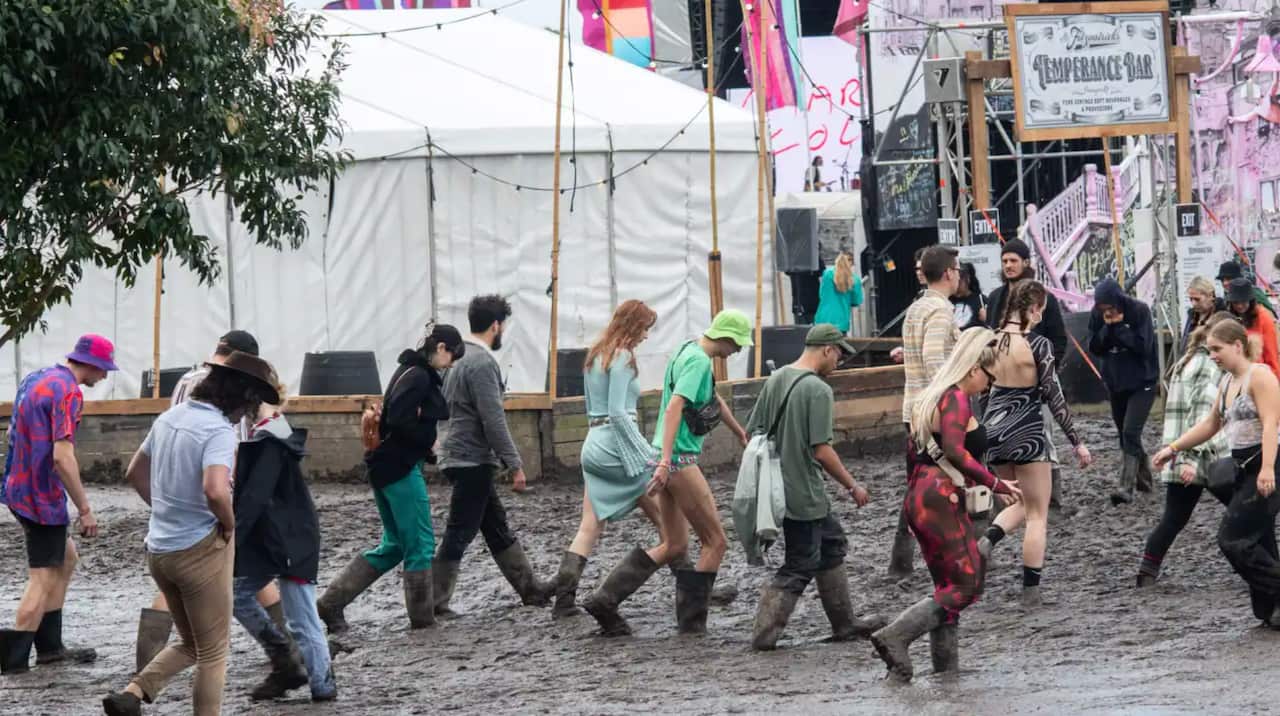 Splendour in the Grass attendees