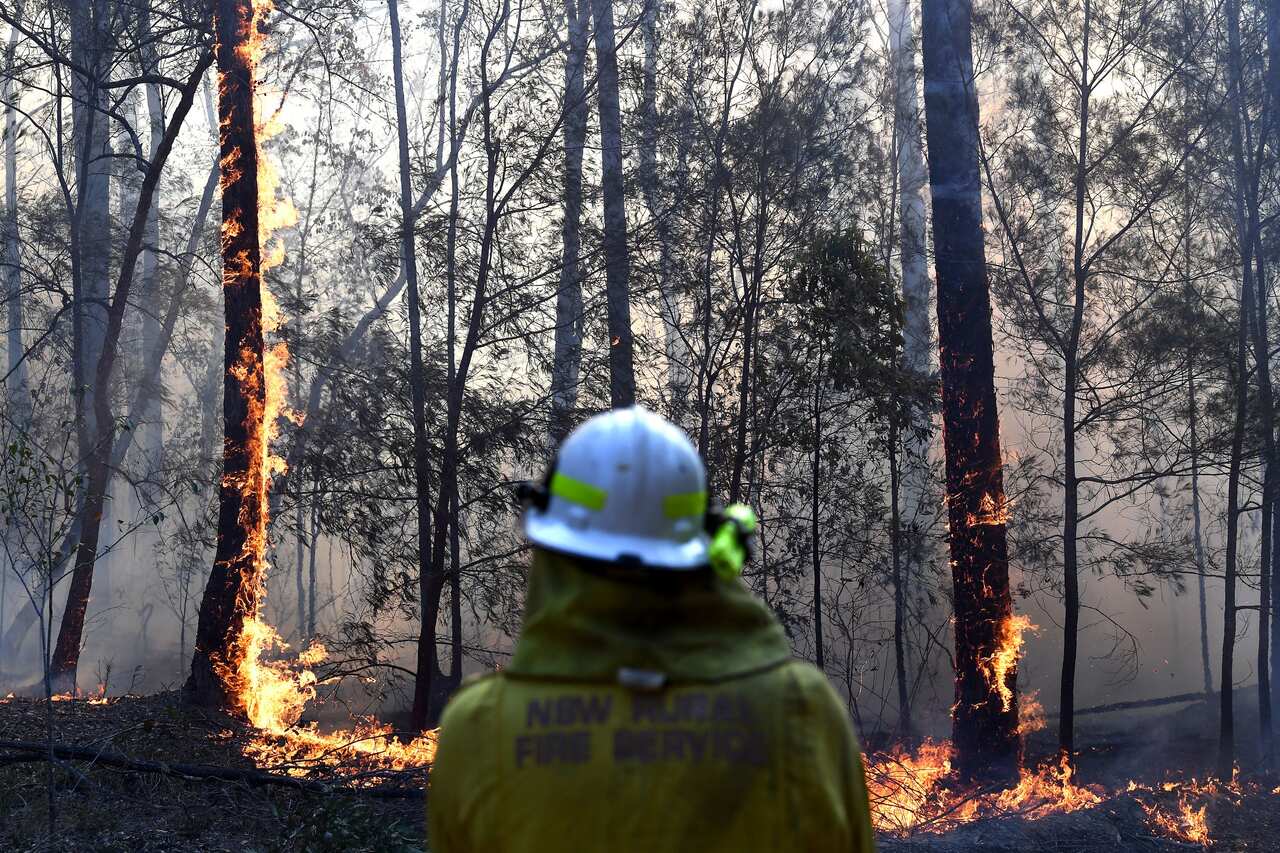 A shot of a firefighter's back while a small blaze burns on some bushland trees.