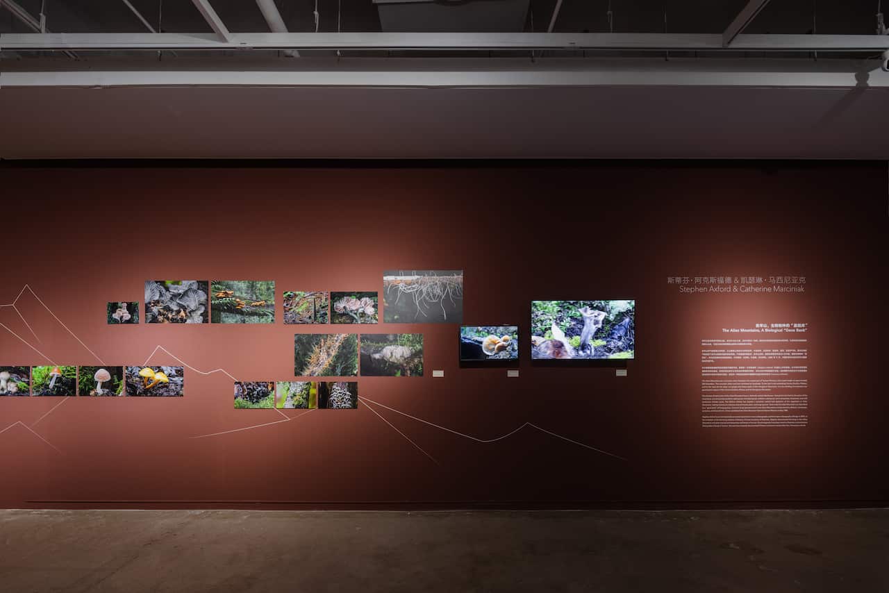 Stephen Axford & Catherine 04.jpg