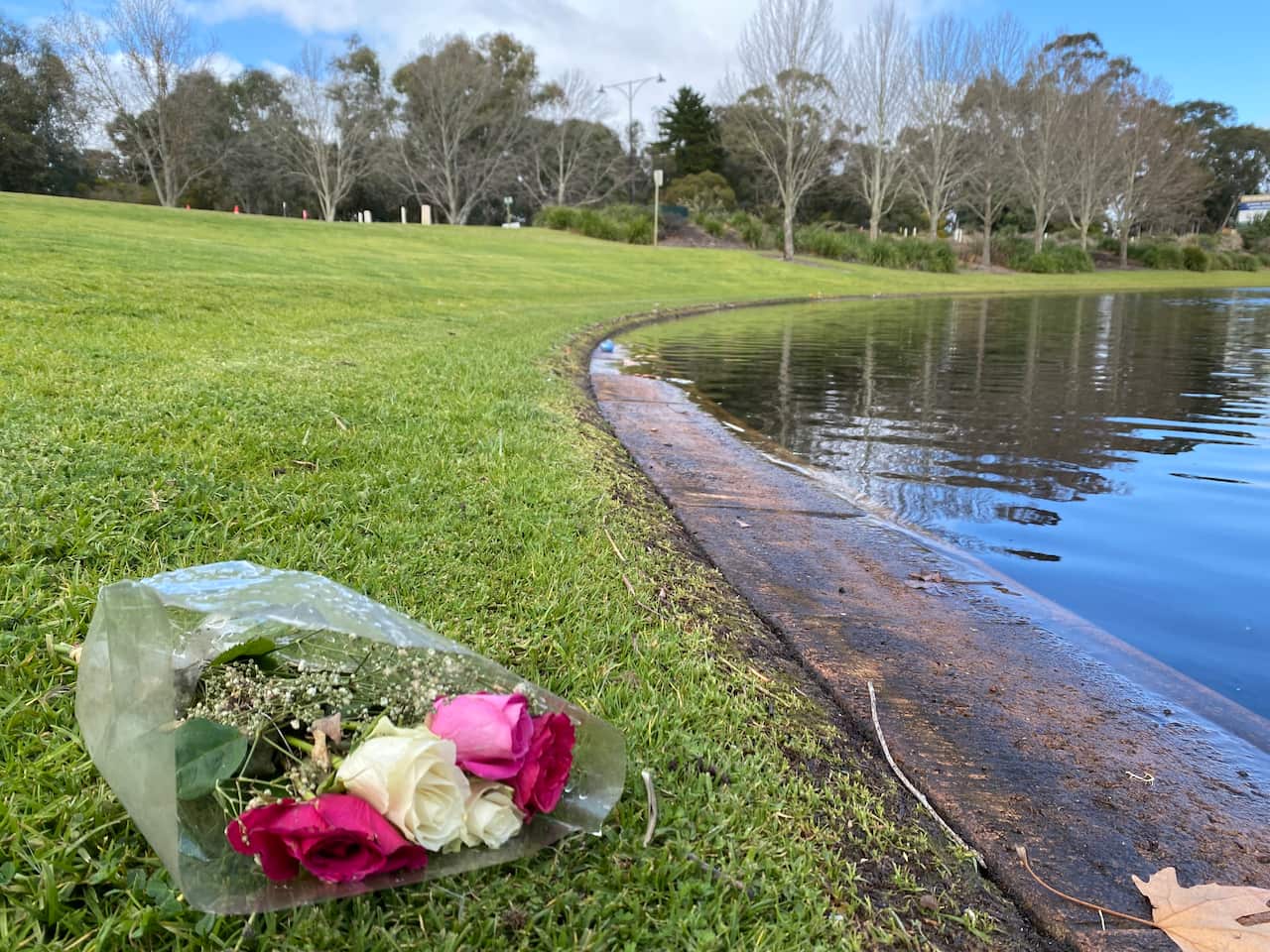 A bunch of pink and white rose on grass by a lake.
