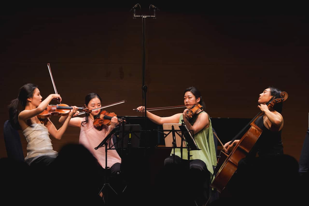 thumbnail_IMG_3354 f리수스 연주 밝은색.jpg