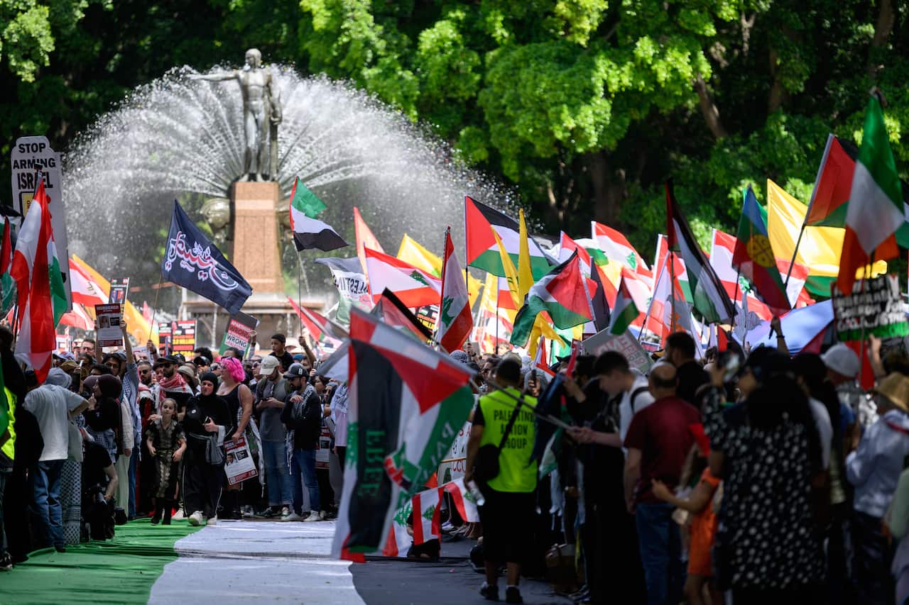 A large group of people holding Palestinian flags 