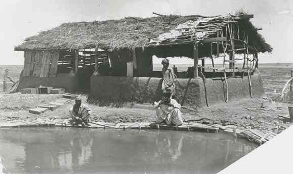 The Mosque at Hergott Springs. Worshippers used the pool for ablution, c. 1884-Courtesy of the State Library of South Australia.jpg
