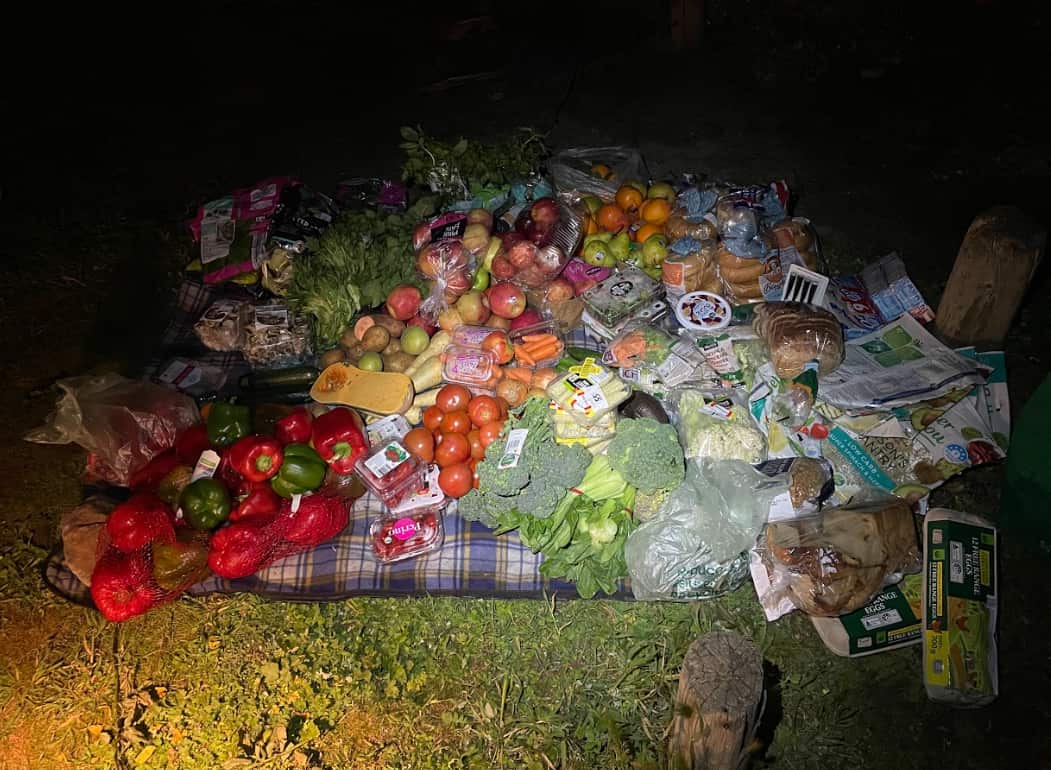 dumpster diving harvest.png