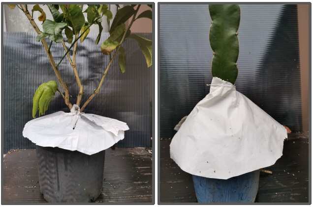 透明塑料棚遮雨