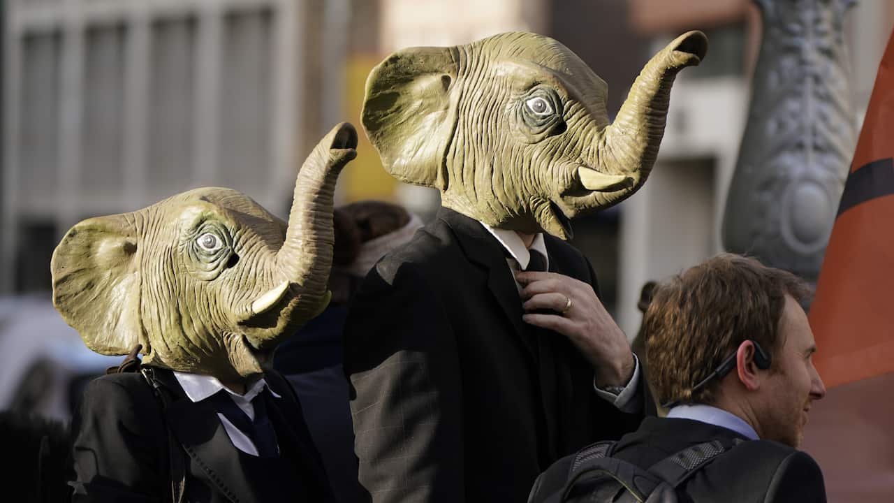 Protesters wearing elephant masks