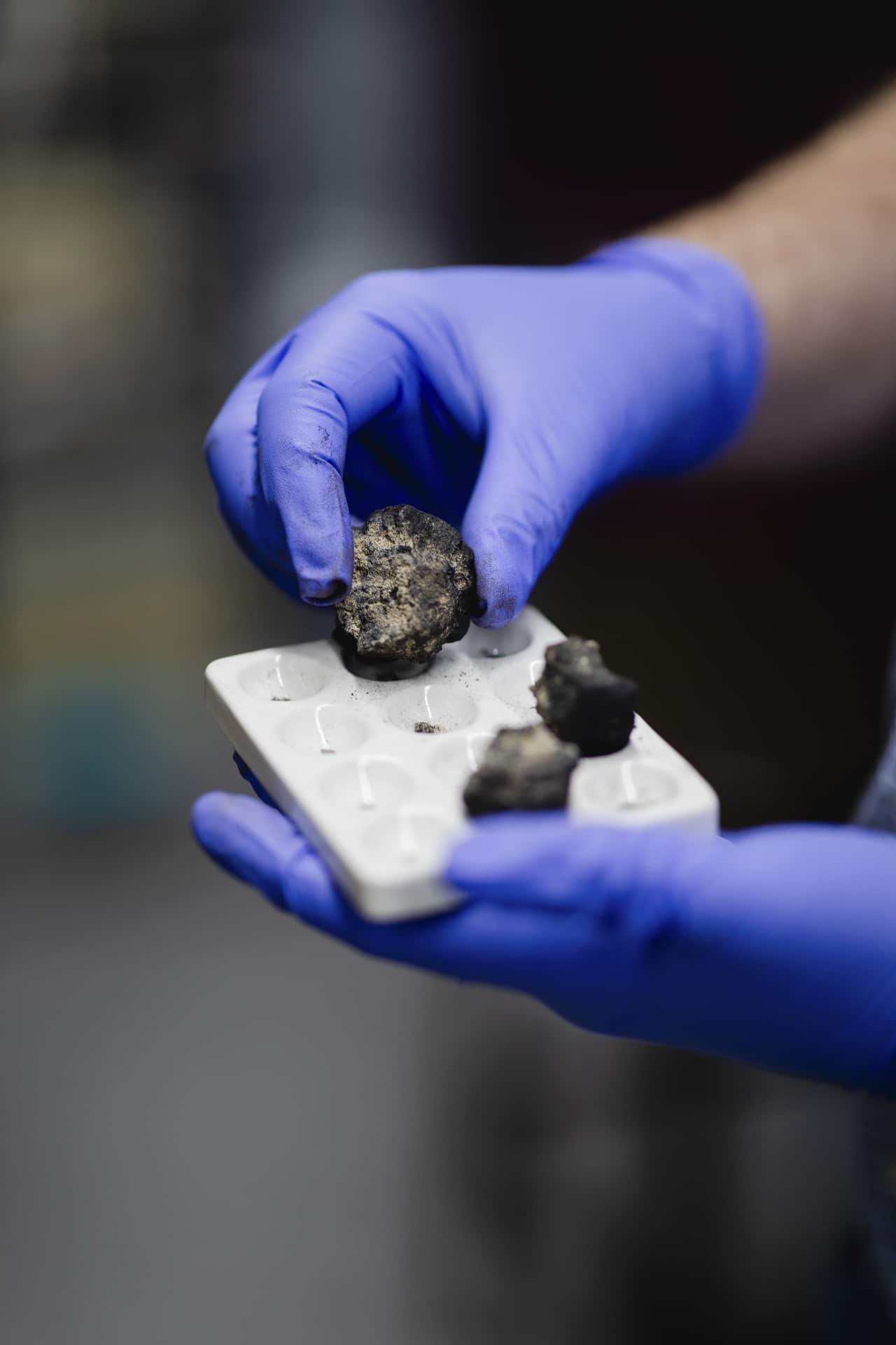 Close-up of gloved hands holding a white sample tray containing several dark, rock-like mineral nodules. One nodule is being lifted from the tray for examination. The image is sharply focused on the specimen and blue protective gloves, with a blurred laboratory-style background.