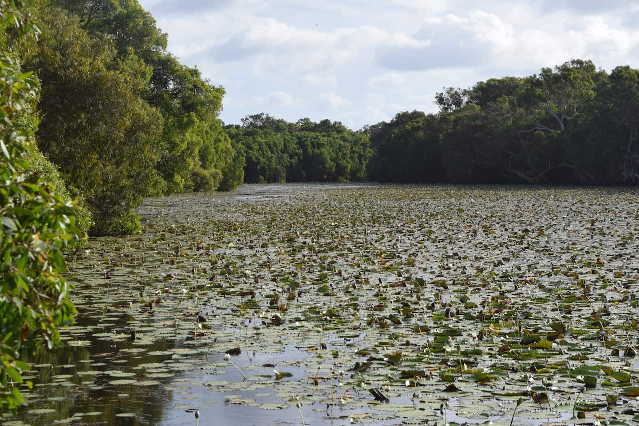 DSC_0325 Keatings Lagoon.JPG
