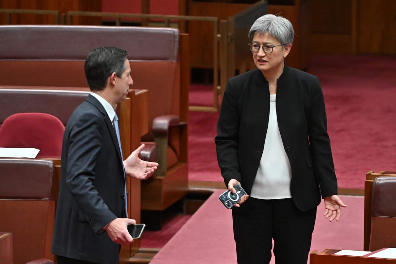 Simon Birmingham and Penny Wong talk in the Senate.