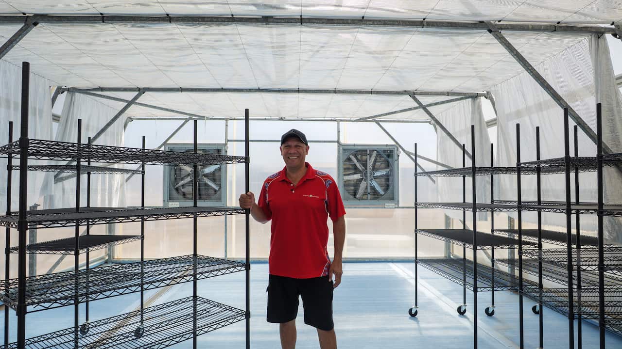 Michael Wear, a Malgana man in his 40s wearing a red shirt, black shorts and a cap, stands in an enclosed sunlit room surrounded by large portable shelves.