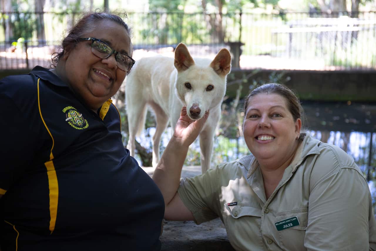 Girringun Dingo Forum Promotional Shoot_March 2023_-69.jpg