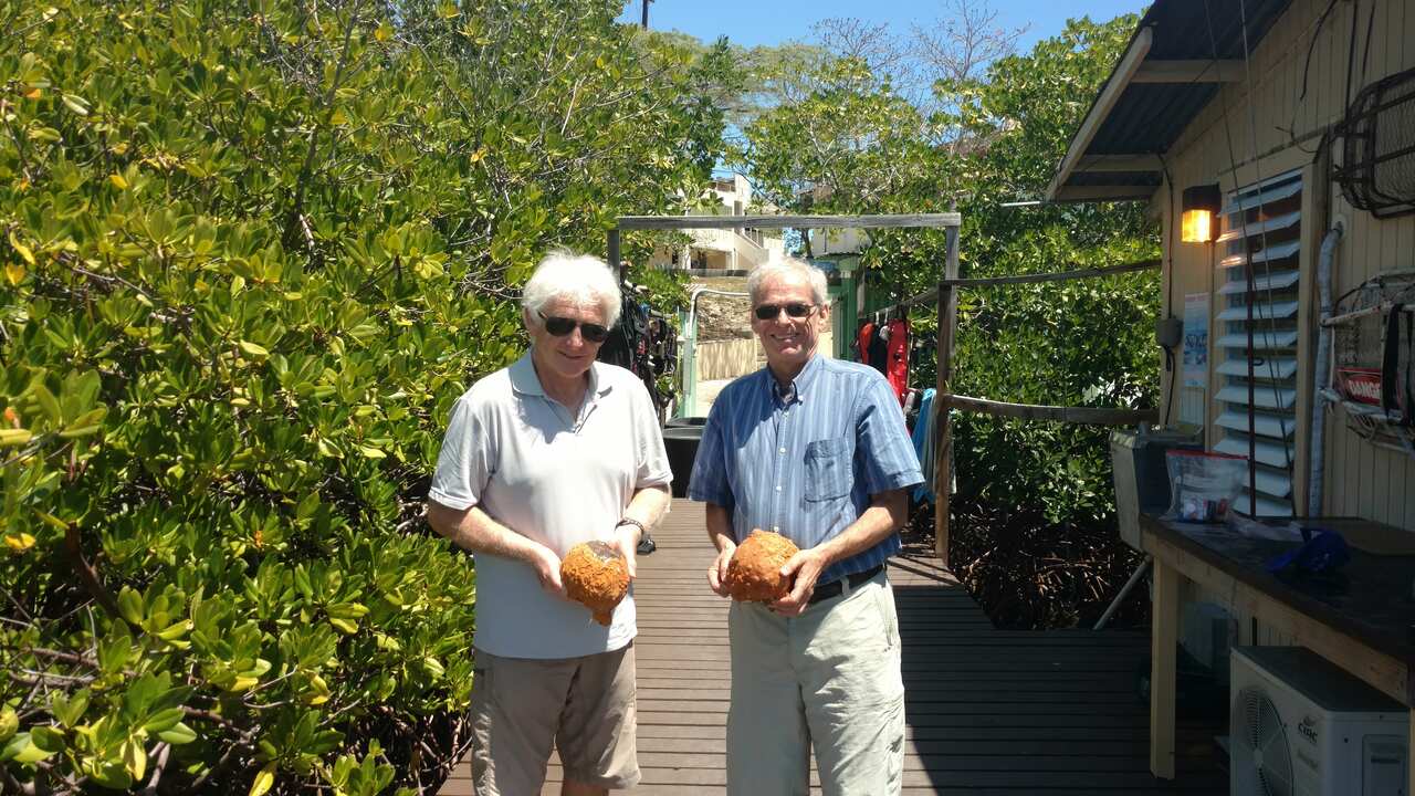 Two men standing in a garden holding sea sponges