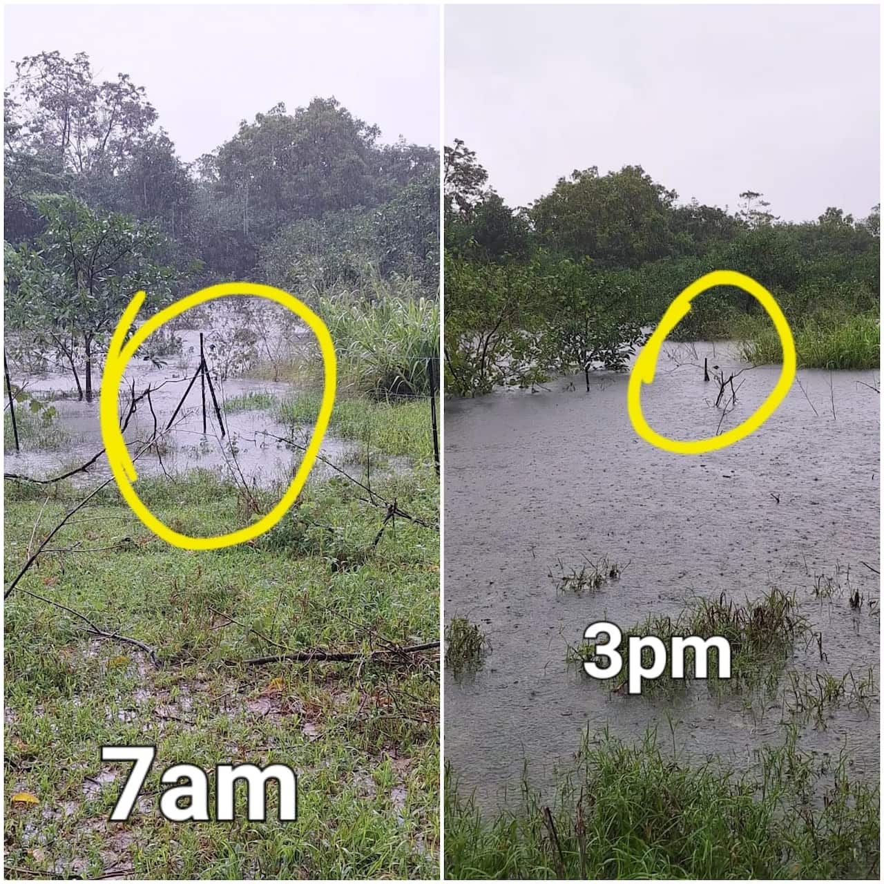 antes e depois enchente.jpg