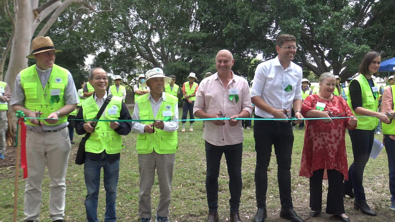 Copy ofSnapShot(5).jpg