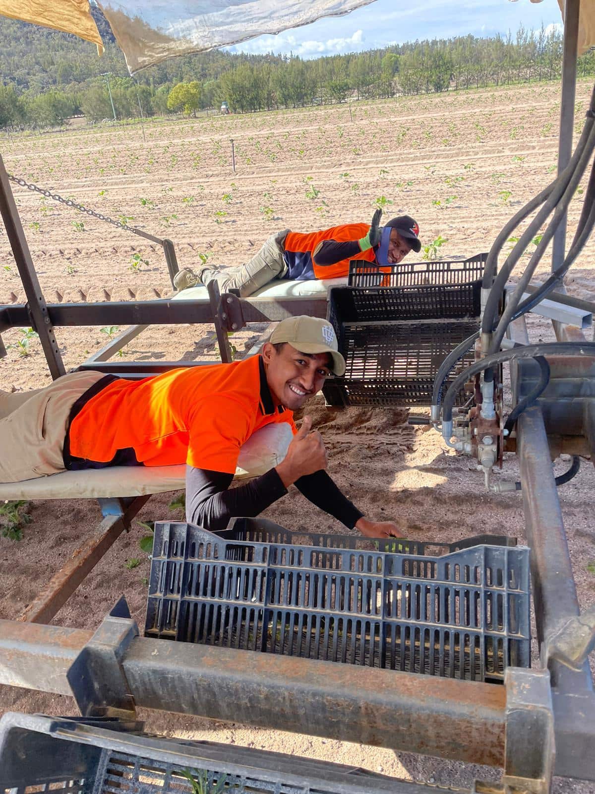 Traballador timoroan nain rua ne'ebe servisu hela iha tereino