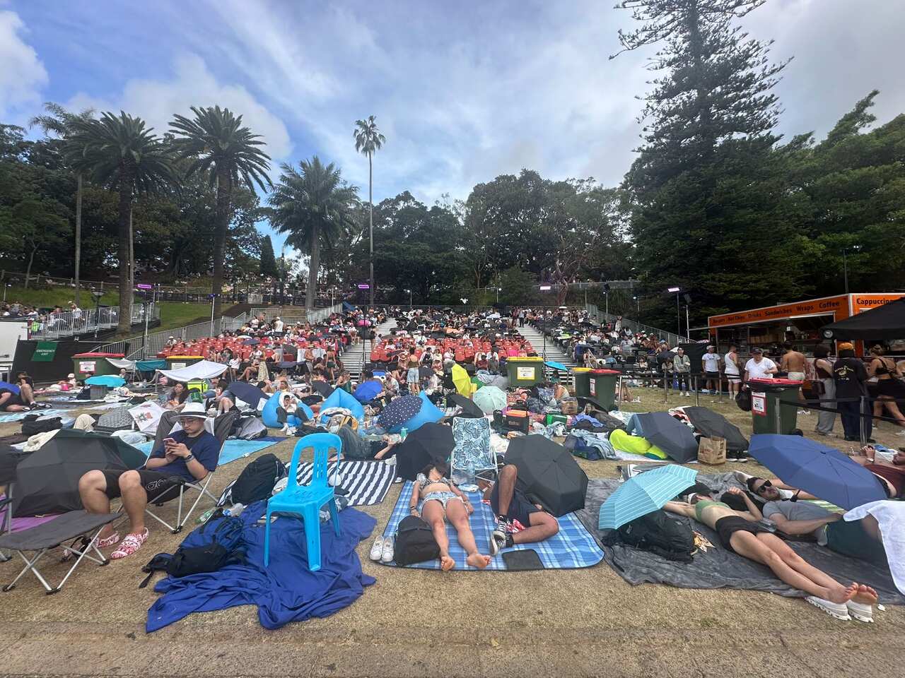麦考瑞夫人椅排队的人