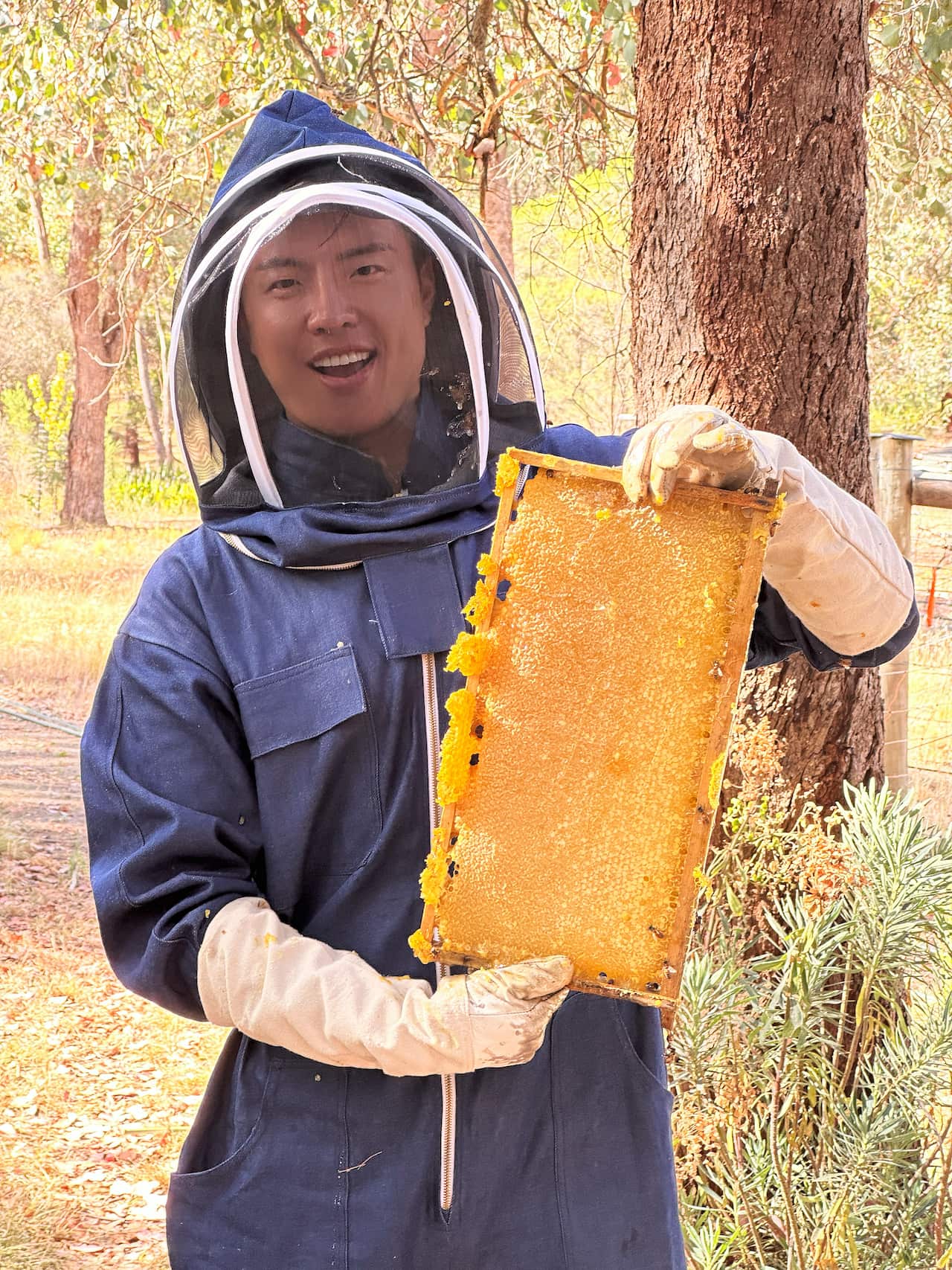 Tom with comb WechatIMG600.jpeg