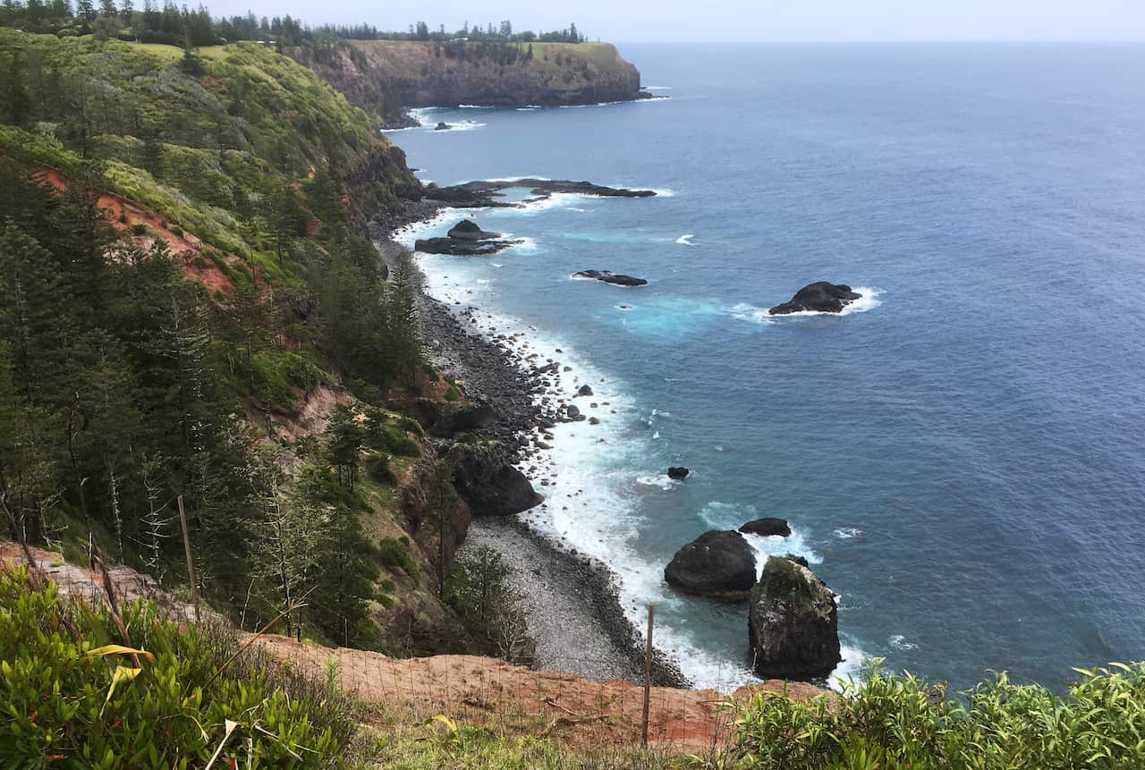 At the edge of the cliff on Norfolk Island, there are tall pine trees, rocks and turquoise-blue water.