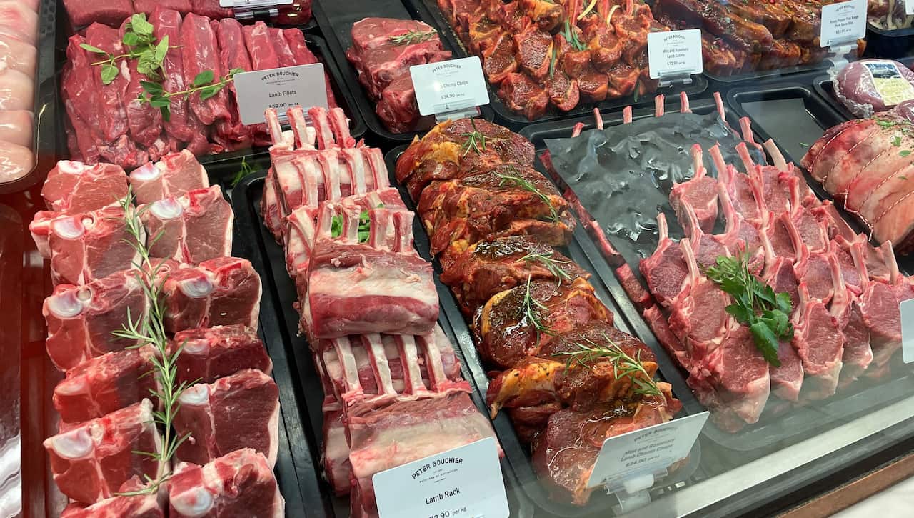 Tomaru161 Ep47 Lamb 1 (2).jpg