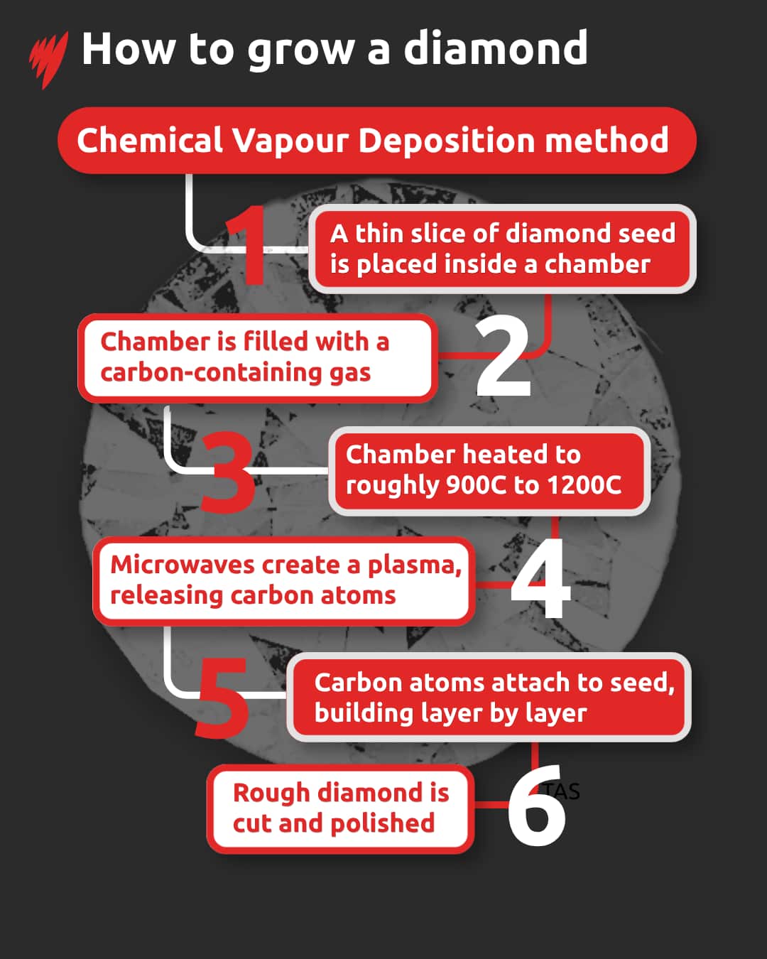Infographic breaking down how to grow a diamond via HPHT
