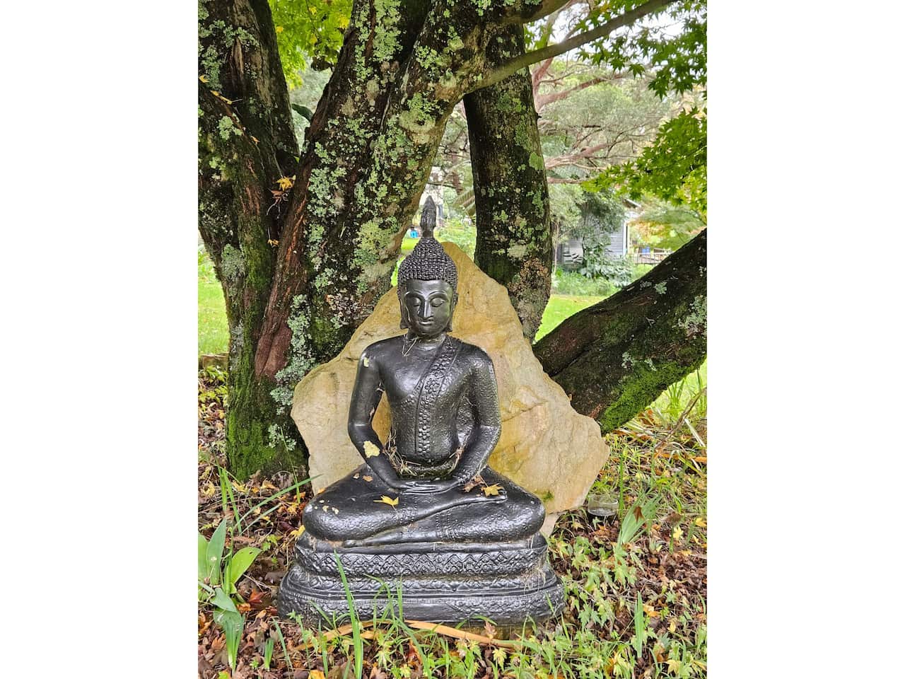 Tượng Phật trong vườn tại Tu viện Sơn Tuyền (SBS)