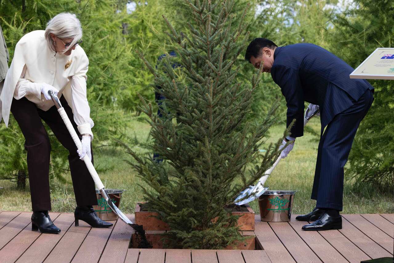 20250907gg8106603_0635.CR3